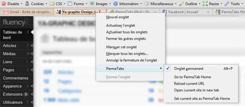 L'extension Firefox PermaTabs Mod 1.9.1