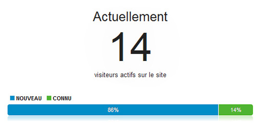 Google Analytics en temps réel: visiteurs actifs sur le site