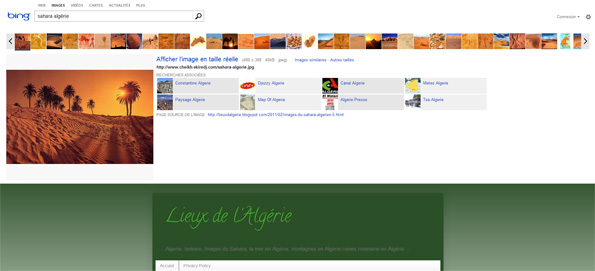 La nouvelle recherche d'images chez Bing