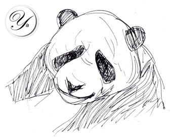 Filtre Panda de Google (21 novembre 2012)