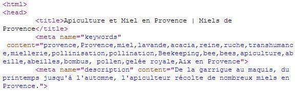 Consultation des mots clés dans le code source des pages importantes des sites concurrents.