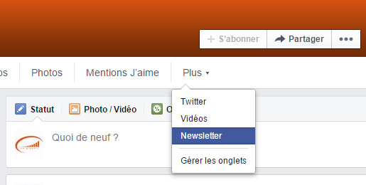 Newsletter dans l'onglet de la page Facebook