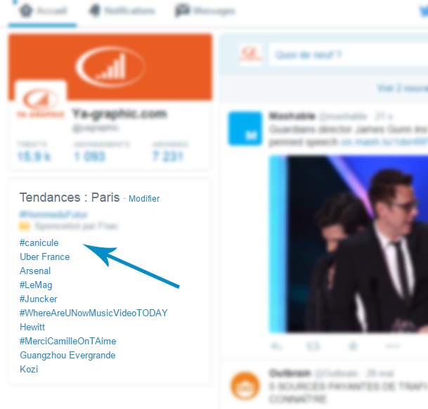 Tendances Twitter hashtag #canicule