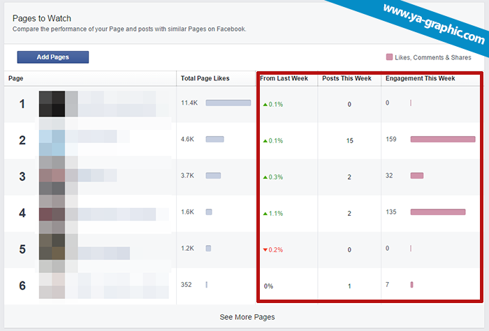 Insights Facebook