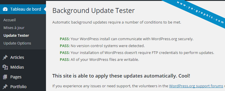 Le plugin WordPress "Background Update Tester"