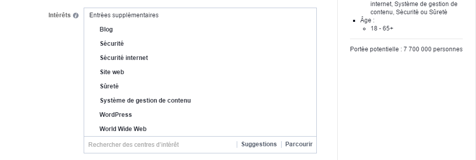 Le choix des intérêts (mots clés) dans le Gestionnaire de publicités de Facebook