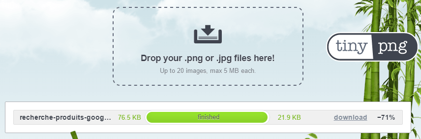 TinyPNG : pour compresser les images PNG et JPG