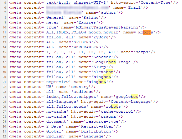 Plusieurs balises META dans le code source du blog.