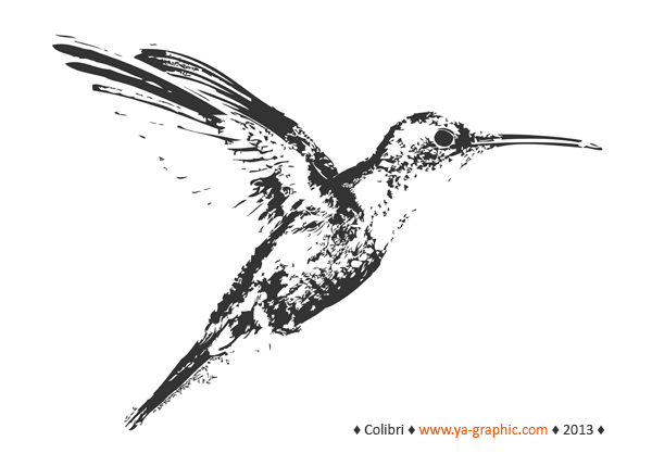 L'algorithme Colibri de Google