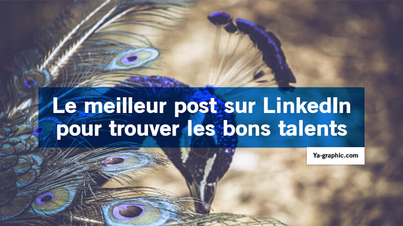 Le meilleur post sur LinkedIn pour trouver les bons talents