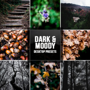 3 Lightroom presets DARK & MOODY desktop